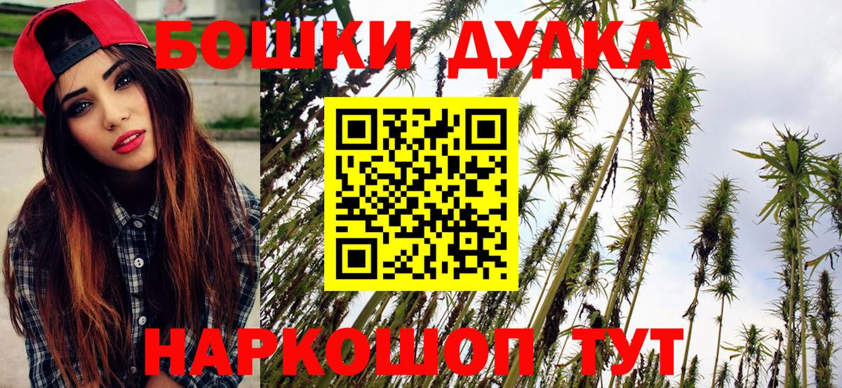 Бошки Шишки ГИДРОПОН Отрадный